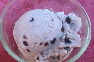 Wild Blueberry Ice Cream